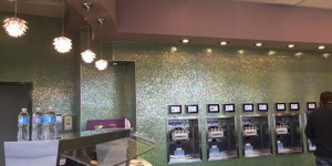 With numerous flavors and dozens of toppings available, Purple Kiwi has everything wanted in a frozen yogurt place. 