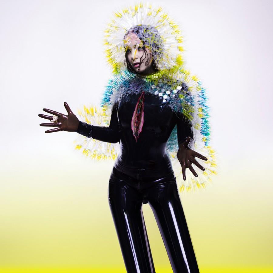 1. Vulnicura – Björk