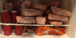 A stocked freezer, along with an entire refrigerator worth of beef is just part of the fresh food the Nolden family brought back from Wisconsin. 
