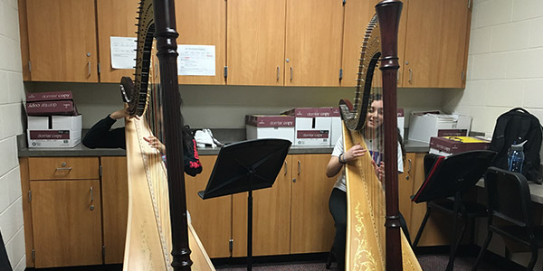 Harpists assemble for 73 piece ensemble