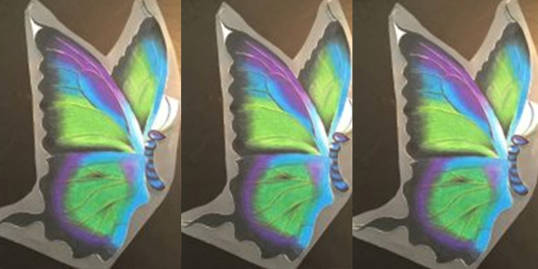 The 2017 t-shirt and postcard image for the 19th annual Butterfly Festival was created by former student Noah Lind. 
(Linds original work was  a single image. Pictured above is Linds work photoshopped with the same image added twice to make Linds artwork the same size as all other images on Wingspan.)