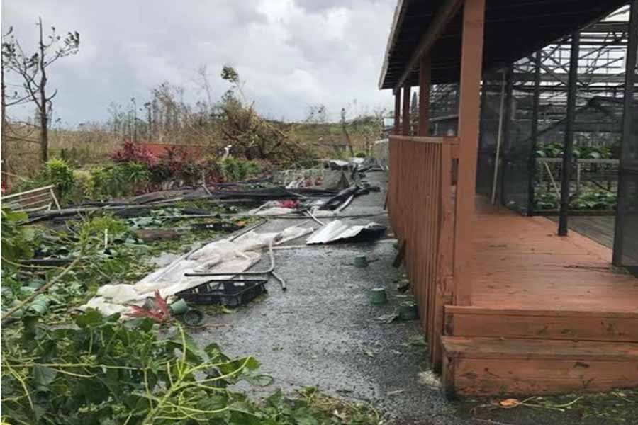 Blowing walls and roofs off countless buildings, damage from Hurricane Maria is expected to take a minimum of months to clean up. 
