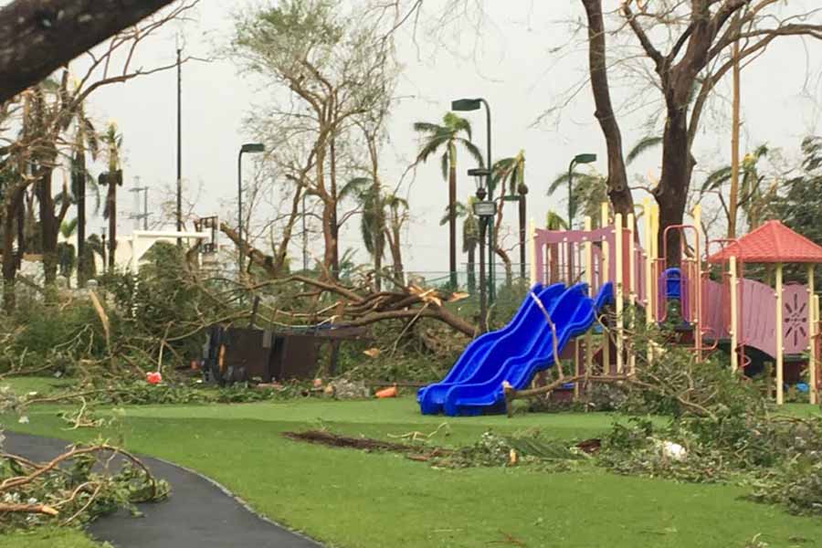 A playground sits intact, while all around it, fallen trees lay on the ground after Hurricane Maria swept across Puerto Rico. 