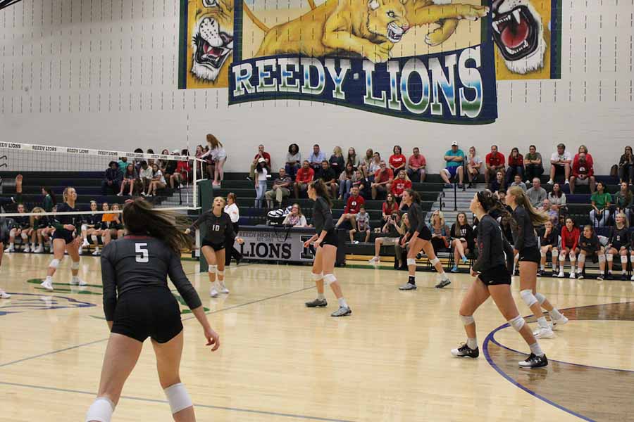 volleyball against reedy