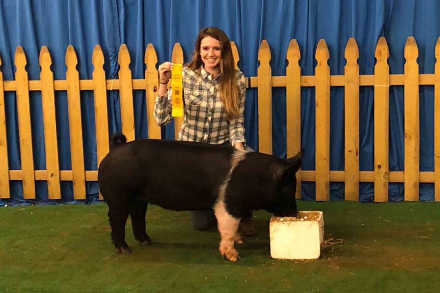 Sophomore+Halston+Searls+poses+for+a+picture+with+her+pig+at+the+Collin+County+Junior+Livestock+Show.+