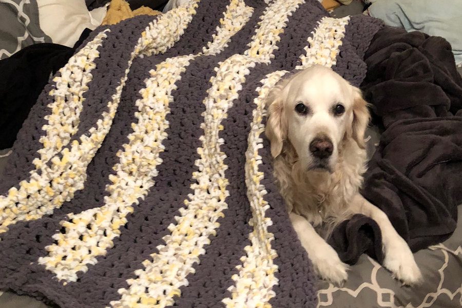 Depicted is a blanket crocheted by the clubs president senior Amelia Leslie for a club officers dog.