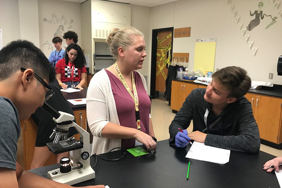 Students in pre-AP Biology classes such as those of teacher Kristen Newton are learning how to write a science based research paper over a health problem in today's society. 