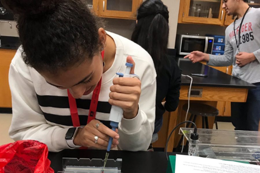 Transferring+DNA+into+a+gel+electrophoresis%2C+freshman+Jada+Williams+works+during+a+biology+lab+of+Thursday+with+students+comparing+strings+of+DNA.+%0AIt%E2%80%99s+such+an+important+knowledge+that+you+need+to+know+because+it%E2%80%99s+something+that+they%E2%80%99re+going+to+see+a+lot+if+you+ever+go+to+jury+duty%2C+they%E2%80%99ll+see+this+kind+of+testing+going+on%2C+biology+teacher+Chris+Ham+said.+I+want+them+to+be+a+better+citizen%2C+be+prepared+to+be+an+adult%2C+even+though+its+actually+not+on+the+EOC.%E2%80%9D%0A%0A+