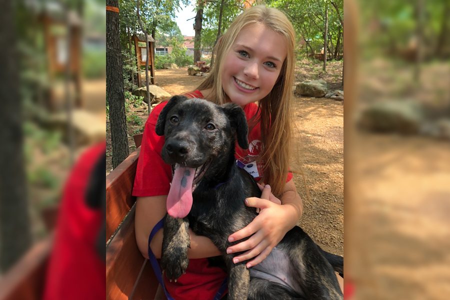 Volunteering holds a special place in Wingspans Allie Lynn heart especially when it comes to helping animals in need. Lynn shares her opinion on volunteering as a whole as well as suggesting tips on how to get started.