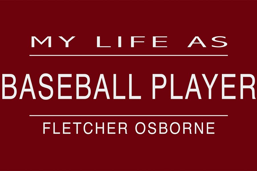 My+Life+As%3A+baseball+player