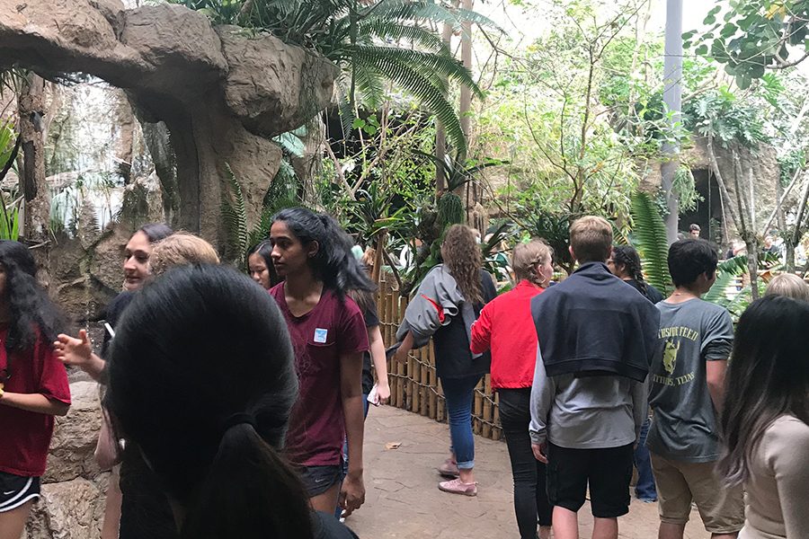 To bring the year to a close, NAHS members took a trip to the Dallas World Aquarium. The students got the chance to explore the aquarium while bonding with fellow members.