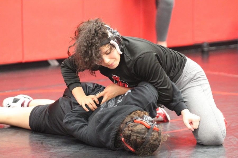 Redhawk wrestling put wing to mat on Nov. 20. The team came out 4th overall leaving room for the Redhawks to spread their wings and grow throughout the season.