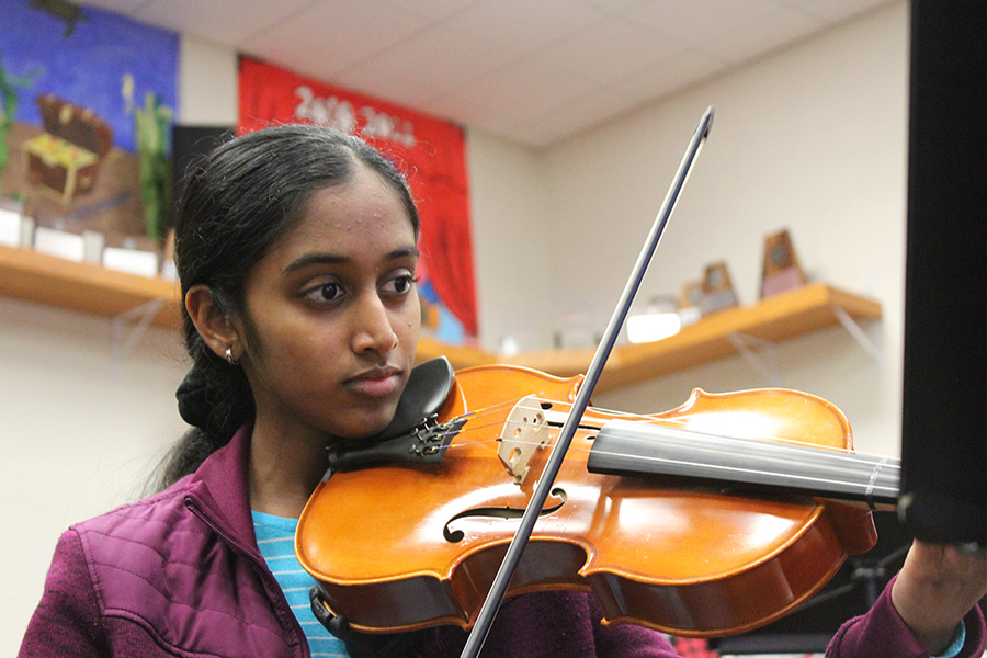 Violist, Smrithi, plays in the orchestra. She is apart of the Philharmonic orchestra, directed by Victoria Lien. 