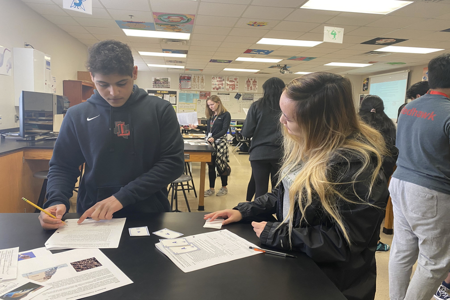 Juniors Chris Jones and Hannah Lee work through allele cards as a way to simulate the flow of genes in their AP Biology class. “We are simulating what we call Hardy-Weinberg equilibrium, and we are trying to see how the genes in a population can change depending on the conditions,” teacher Chris Ham said. 