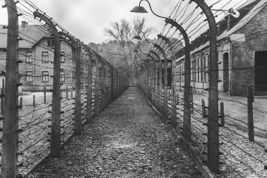Conspiracies about alien life are far from being uncommon. This week Aden McClune takes a look at conspiracies involving alien involvement in the Holocaust.  