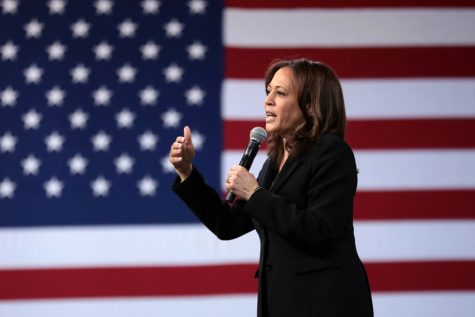 Kamala Harris has broken several glass ceilings in her historic career, becoming the first person of South Asian descent and second Black woman to serve in the Senate, and now the highest-ranked female official in American history. 
