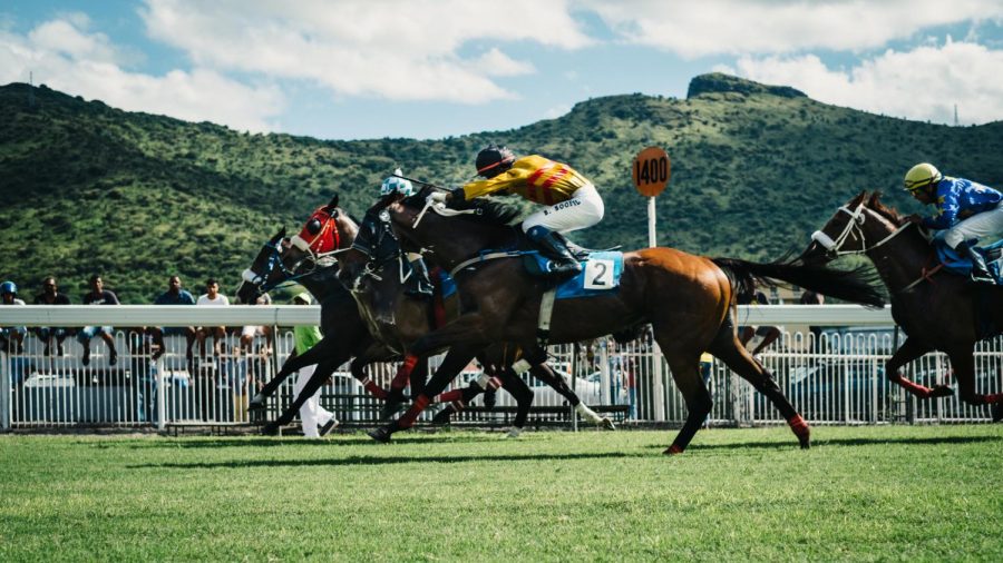 When looking at the treatment of horses in horse racing, it is evident that owners and trainers will do anything they can do to win. Whether its steroids or over exhausting training procedures, there are no measures being regulated on the welfare of these animals.