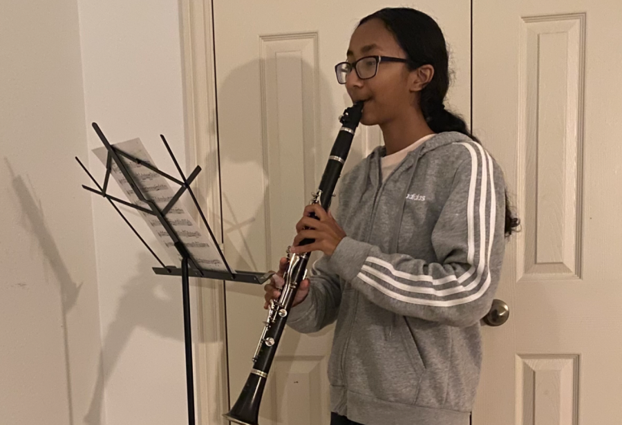 Freshman Subina Baiju sits down with Wingspan to discuss her passion for the clarinet. 