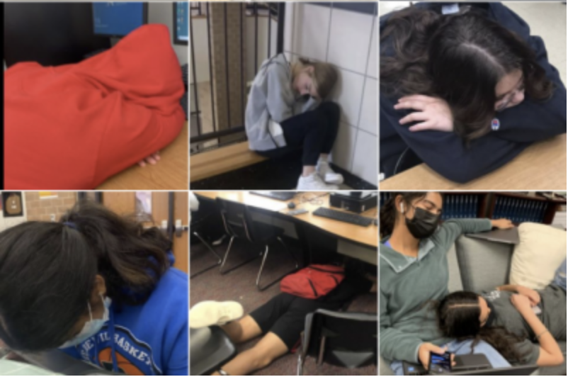 LHS's new naptime account features many Redhawks at rest. Redhawks see the accounts as very light-hearted and funny.