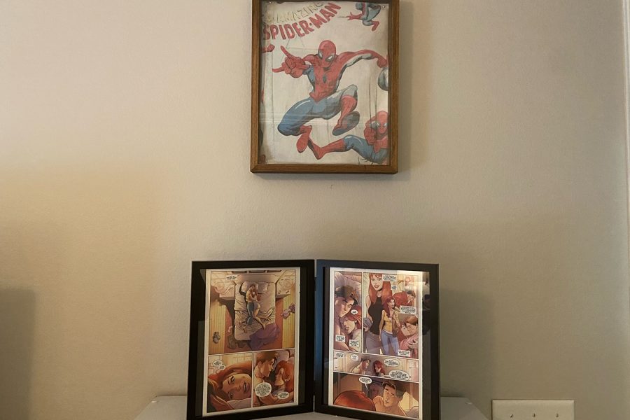 From Christmas stockings to comics, social studies teacher Haley Brown has an extensive collection of Spider-Man collectables and merchandise. 