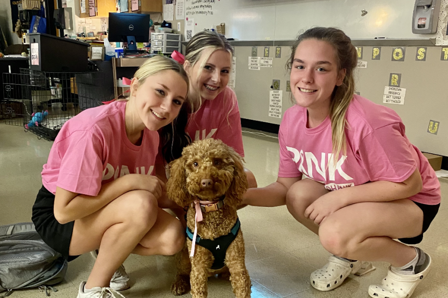 Small animal management class has a new member, Houey. The puppy was invited to help students better get a hands-on experience on managing dogs.
