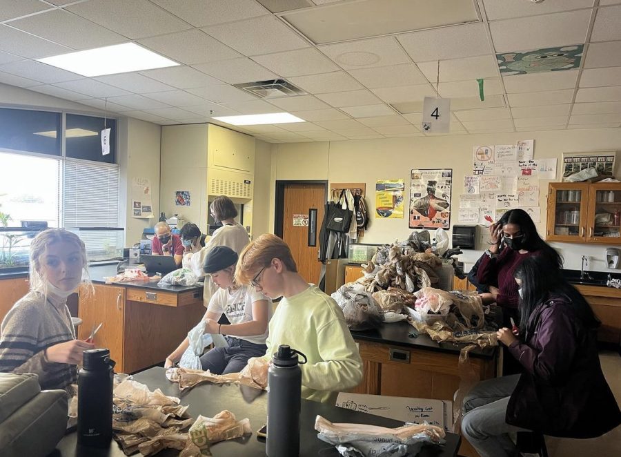 Students for Environmental Action Club uses plastic bags to create mats which are then sent to animal shelters. “Theyre mainly intended to be donated to shelters across Dallas because theyre versatile and extremely good at trapping heat in the cold months,” SEA Officer Srilasya Kamma said.