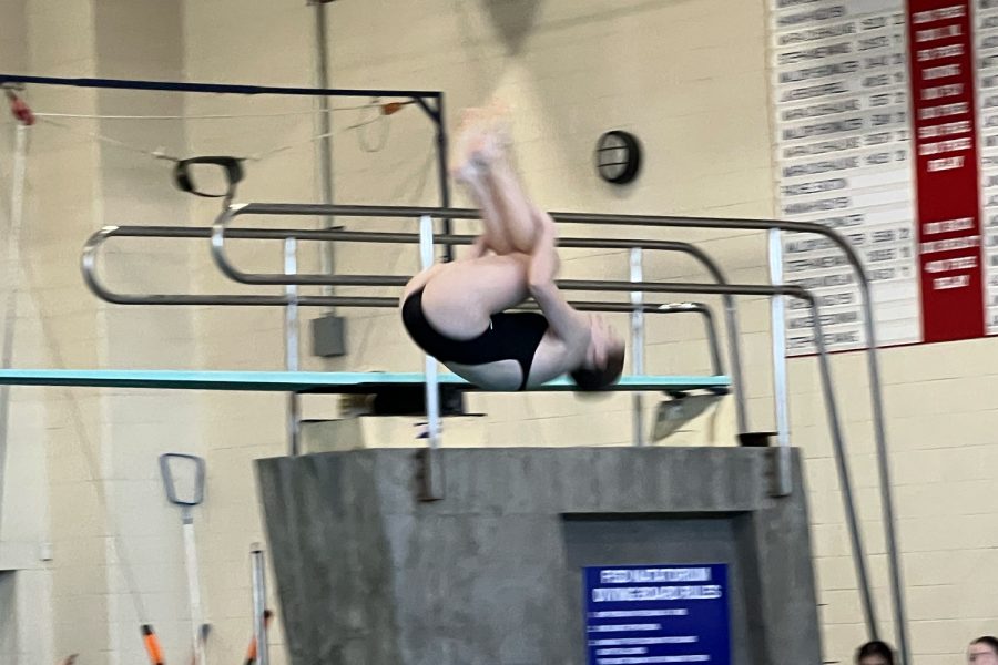 We have a saying in diving that if you have bad warm-ups, then you could be good and my warm-ups were awful. I did not get through half of the dives,” sophomore diver, Aubrey Henderson said. 

However things went differently for Henderson in the District 10-5A Diving Meet as the sophomore finished 2nd to advance to the regional meet Feb. 3. 