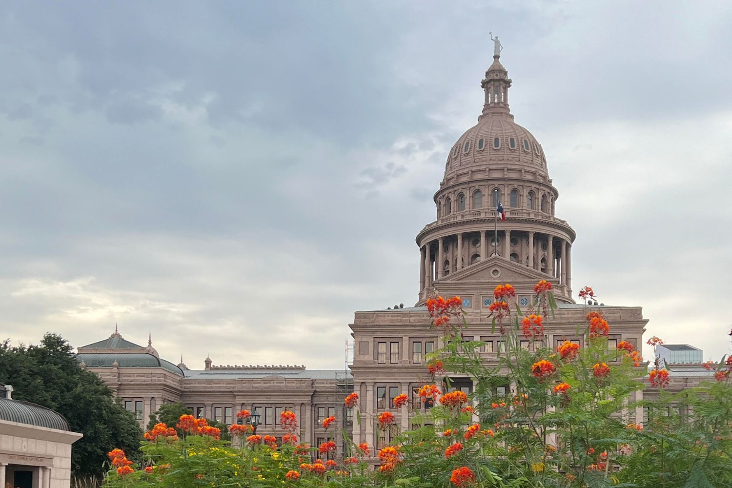 Pro-voucher supporters on the rise in Lone Star state