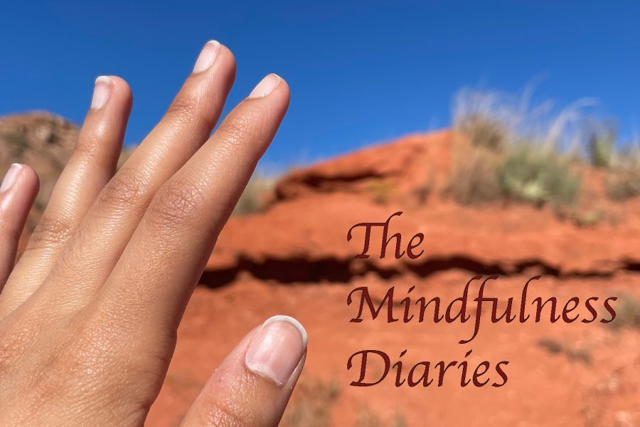 In this weekly column, guest contributer Nidhi Thomas writes about bringing mindfulness into everyday life.

