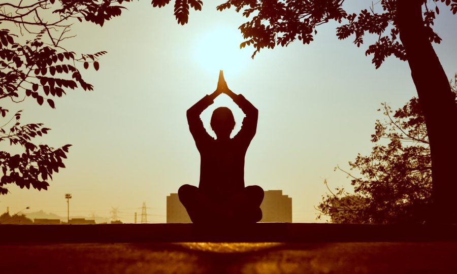 Yoga is defined as the union of the body, mind, and soul. Although most Westerners have trouble grasping the idea of karma and reincarnation, yoga can make you question the purpose of life.