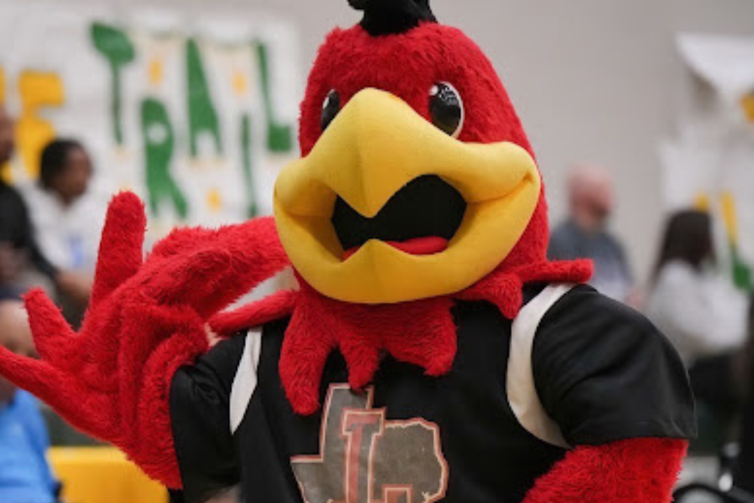 Help Wanted: school seeking student for mascot position – WINGSPAN