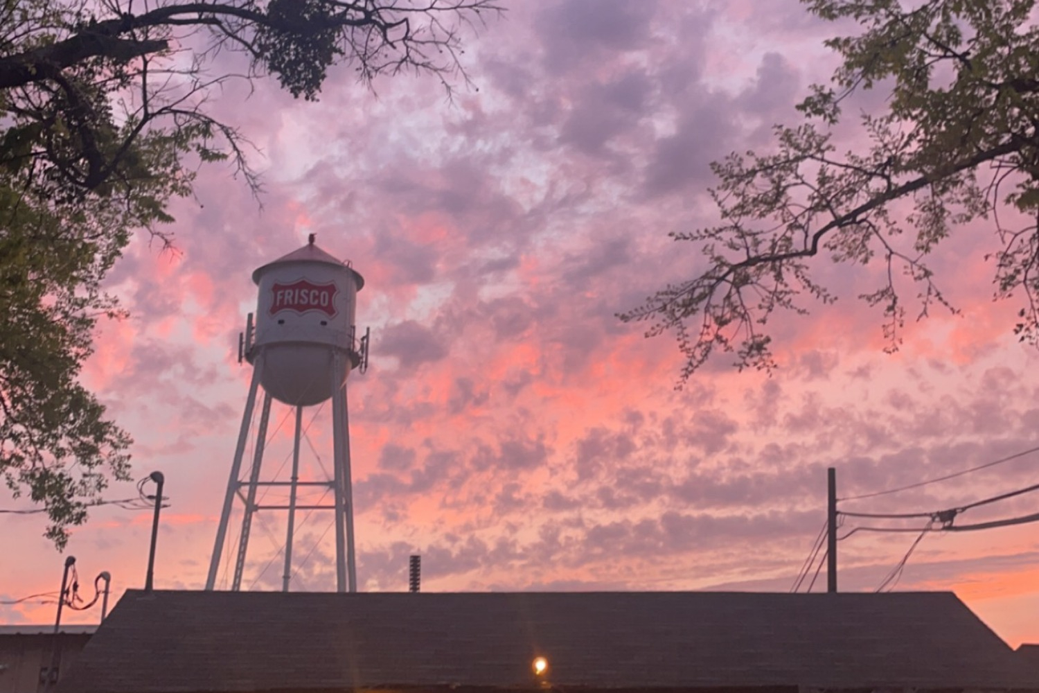 what-is-a-senior-sunrise-kaneland-krier