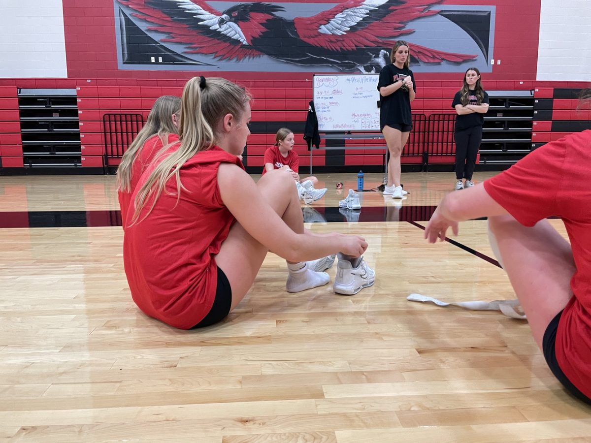 The+Redhawk+the+Volleyball+team+begins+districts+1-0%2C+as+they+defeated+the+Mavericks+Friday.+%E2%80%9CStarting+with+a+win+is+crucial%2C%E2%80%9D+Andrea+Juneau+said.