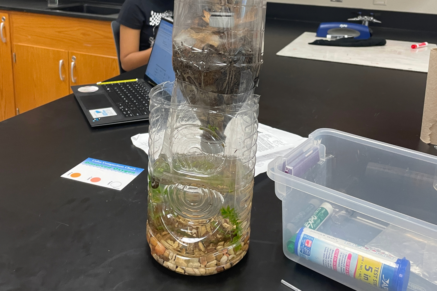 In AP Environmental Science, students partake in creating an ecocolumn. “[Ecocolumns] have a bit of a reputation as a cool thing to do in APES,” AP Environmental Science and AP Biology teacher Richard Sabatier said. 