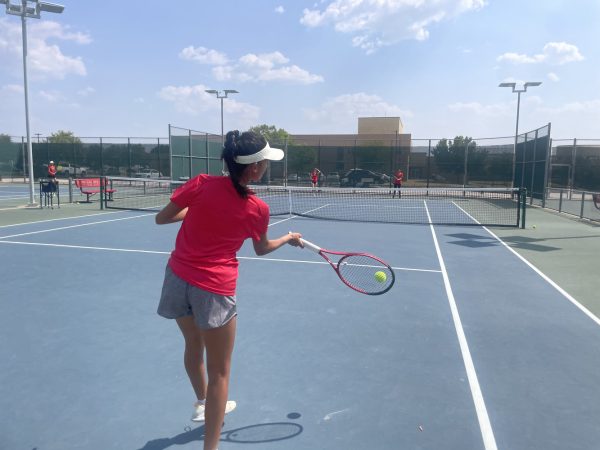 As their season comes to an end the Redhawks will participate in the district tournament Thursday. Maintaining a clear and focused mind is always challenging, sophomore Vivienne Haggard said.