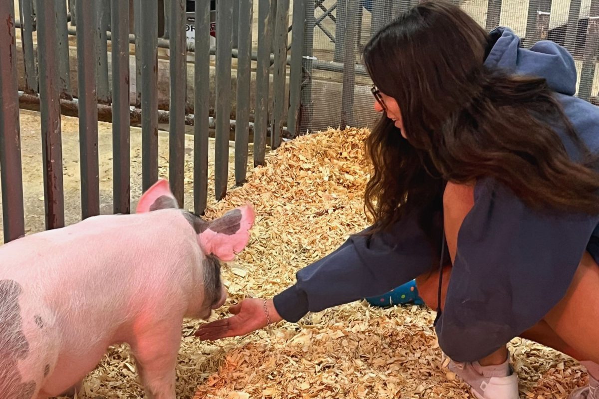I love getting to not only teach my pig how to walk but also have fun with him, junior Mikaela Turnage said. Turnage will be showing her pig at the Houston Show in March.