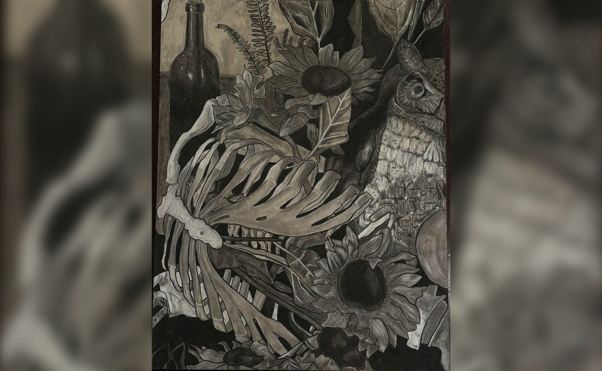 Vivienne Haggard “Decadence” - “I submitted to VASE an artwork that I did called “Decadence”, and I submitted it because I really thought that my use of charcoal created a lot of depth with the 
piece,” Haggard said. “Decadence” was an extension of a still life project done by the Art II Advanced Class.

(In order to make all images the same size some were stretched and blurred with the originally sized image centered).
