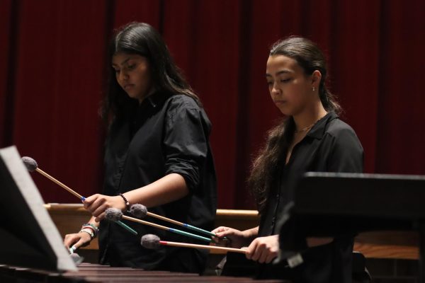 Percussion is hosting a concert Friday at 7 p.m. in the auditorium. Their concert will feature  19 songs under the theme ‘All Around the World’.