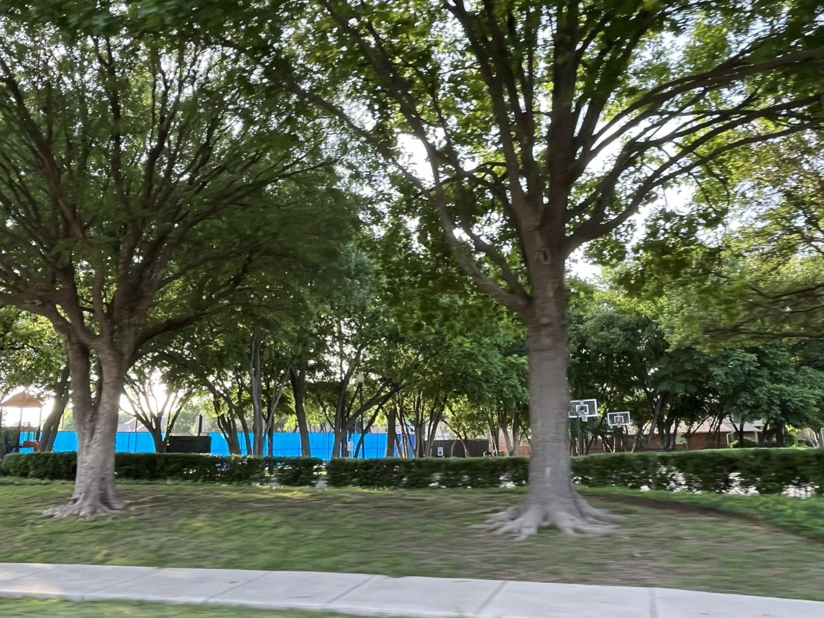 Texas receives federal and state funds to plant millions of trees in urban area. 