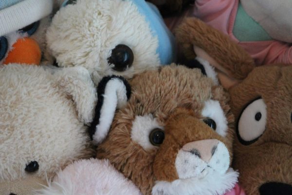 Stuffed animals are usually associated with younger kids, but guest contributer Marlow Crater says that you are never too old for a furry friend. People of all ages should enjoy the happiness and sense of tranquility stuffed animals provide.