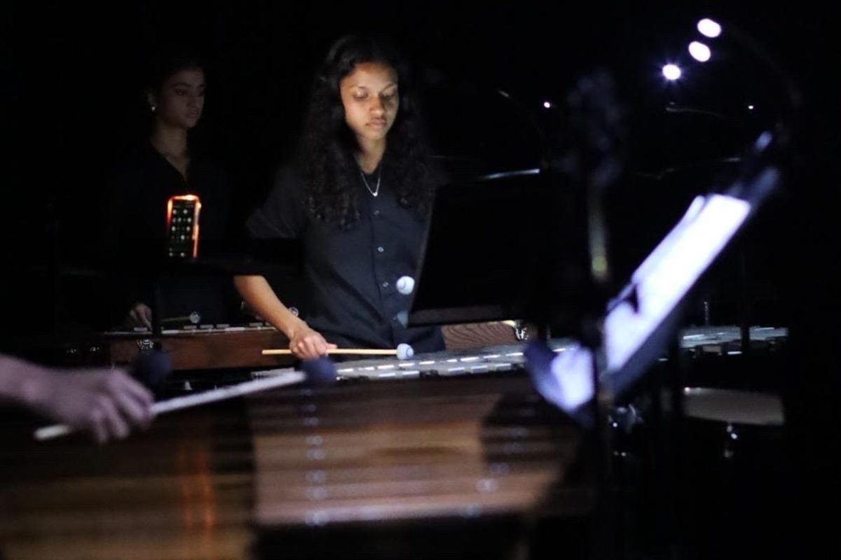 Staff editor Lilian Johnson sits down with junior Srishti Shetty her journey with percussion.