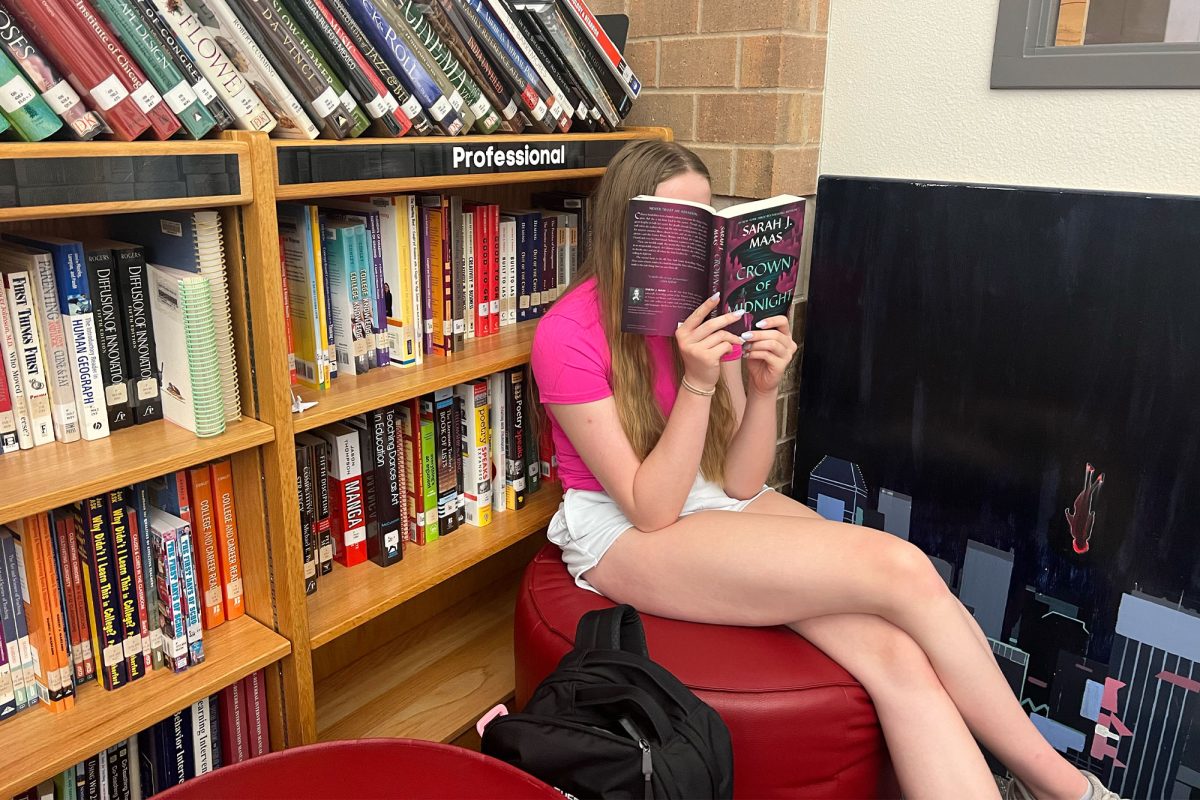 September is Literacy Month and students are encouraged to read books and expand their vocabulary. If students wish to read a book, they can simply go to the library, see if they have it, and check it out. 