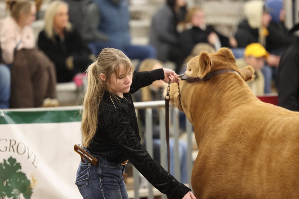 Agriculture students can join the 2025-2026 FISD Livestock Show by attending Tuesday's FFA meeting to learn about raising and exhibiting livestock.