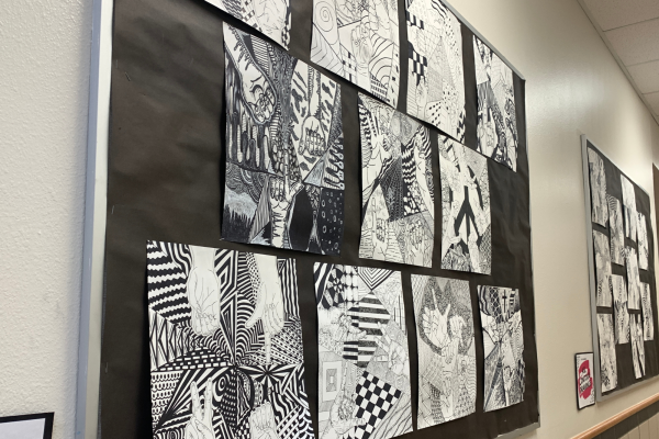 Redhawk artists are putting together an on-campus art gallery to show off their work. “I think it’s always beneficial for any artist to show their work,” art teacher Emily Delarios said. 