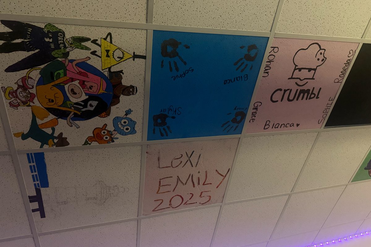 3DMA ceiling tiles1