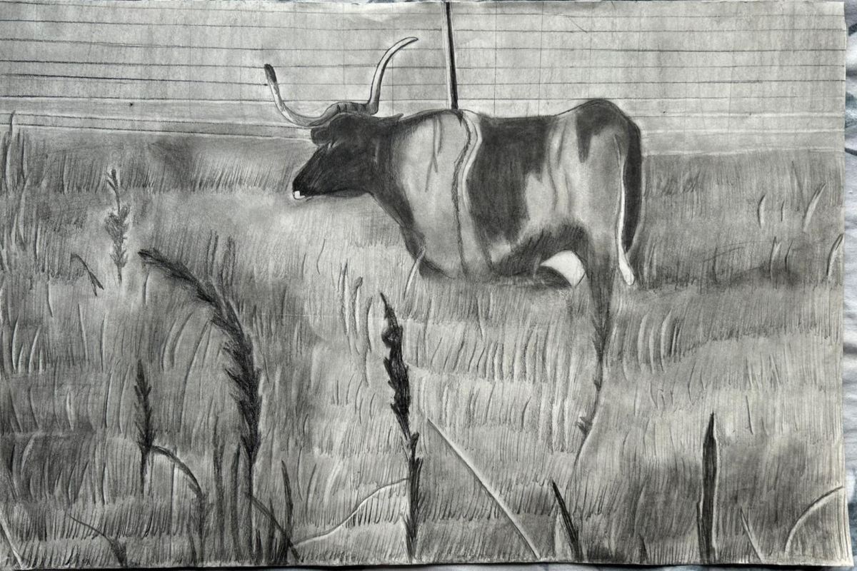 Staff reporter Aashvi Ramachandrapurapa sits down with junior Vibha Krishnaa Jogi to explore her art journey.