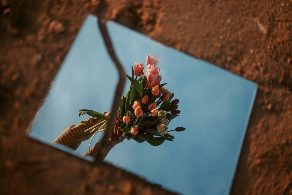 Staff reporter Valerie Nanton takes a deep dive into the meaning of beauty and ugliness and examines the phrase "beauty is in the eye of the beholder". None of the images used in this graphic belong to Wingspan. All images used are royalty-free images from Pixabay.