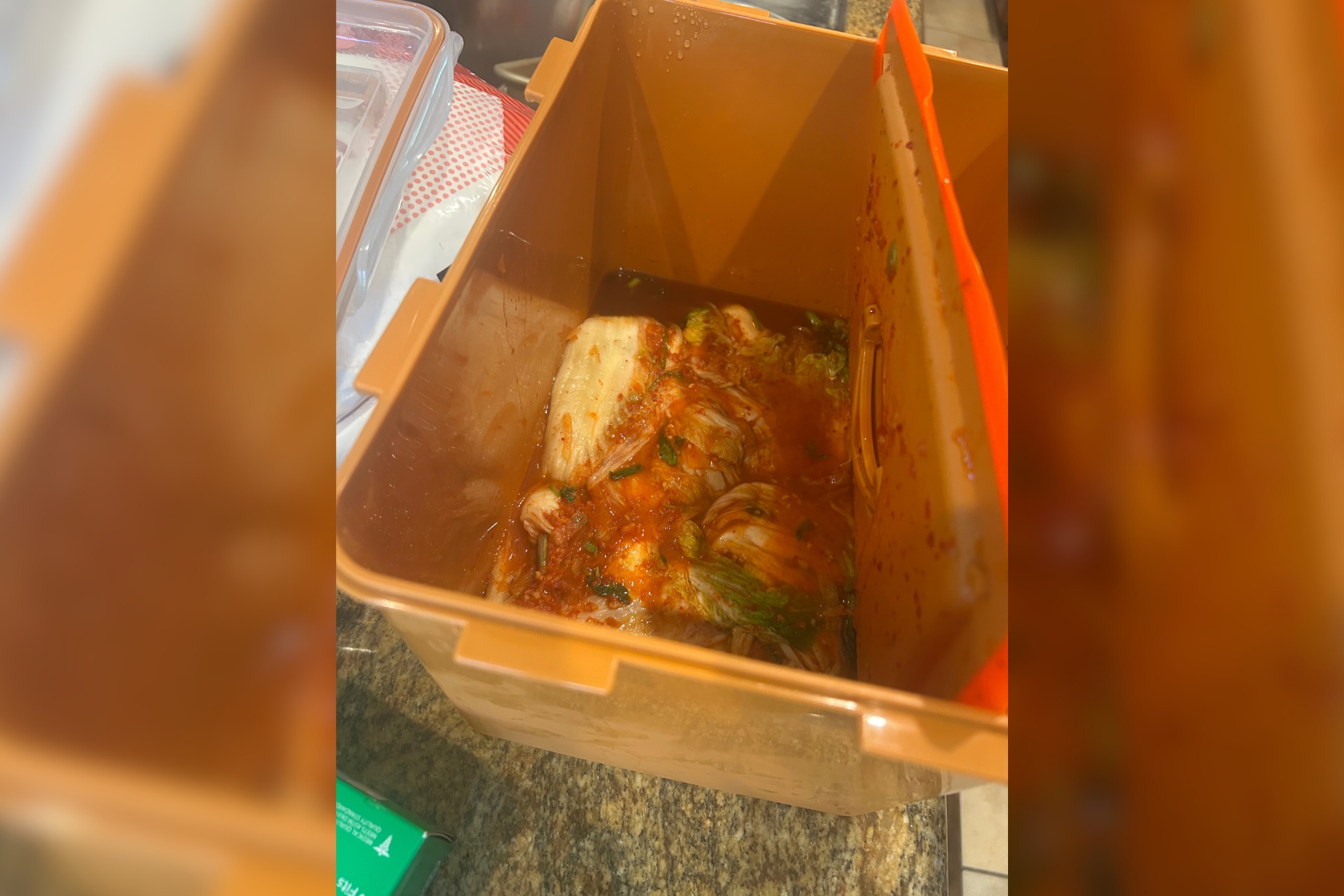 A pinch of Seoul: senior learns Korean cuisine, one dish at a time