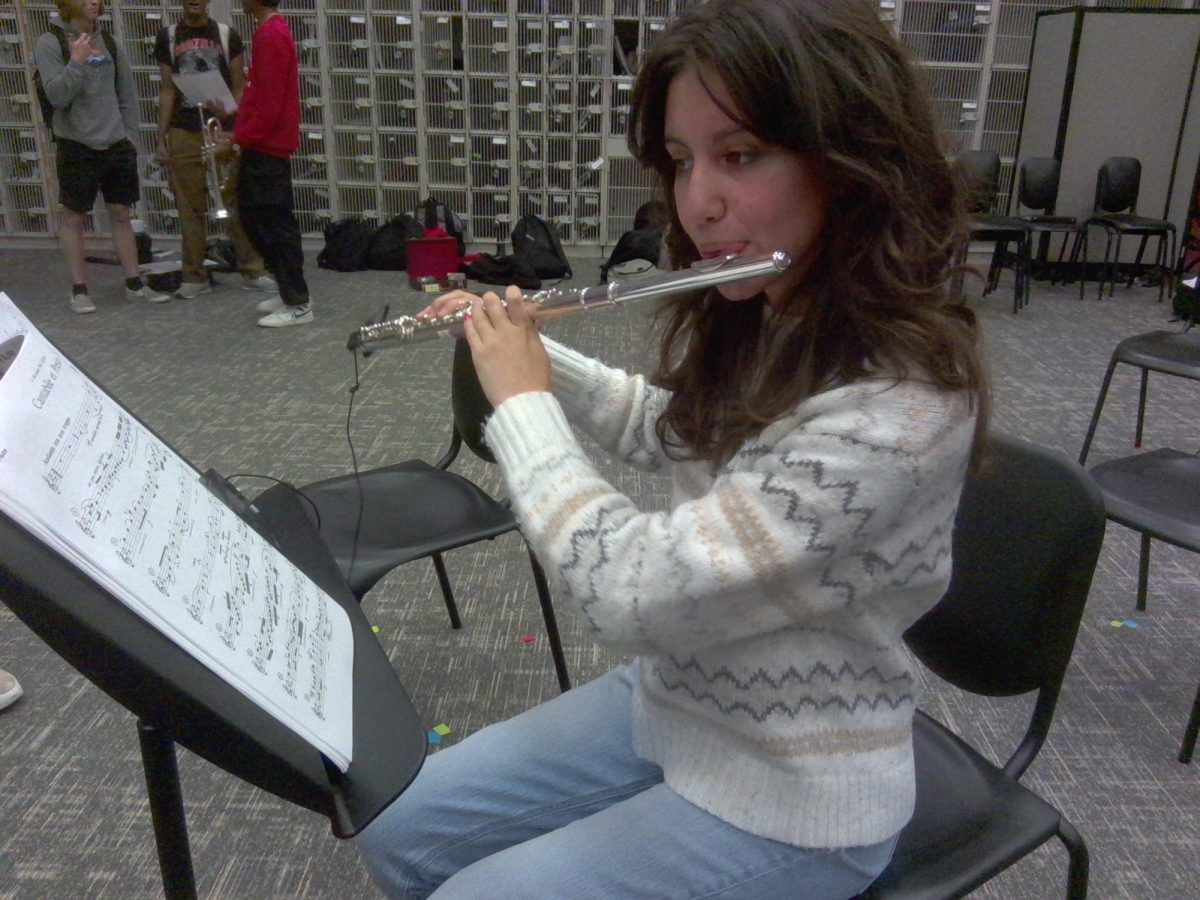 Flute player junior Natalie Marshall practicing her winter extravaganza music.