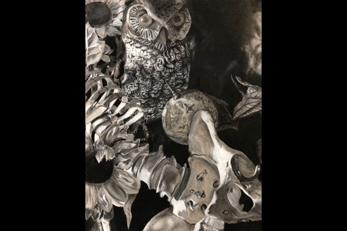 Senior Sydney Kiely was awarded an honorable mention for the second piece she entered into the Scholastic Art and Writing Competition. This was Kiely's first time entering art pieces, though the competition itself is a familiar one to Kiely, having entered her creative writing pieces since the 8th grade. 